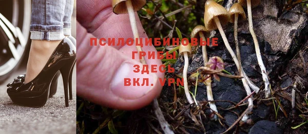 гашик Аркадак