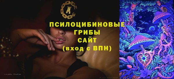 гашик Аркадак
