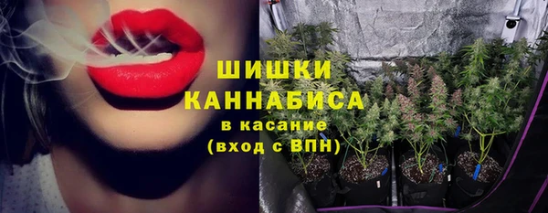 гашик Аркадак