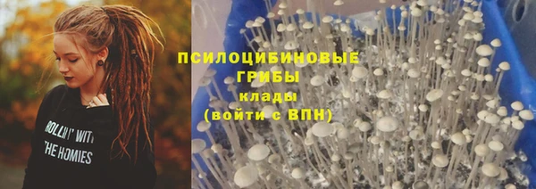 круглые Армянск